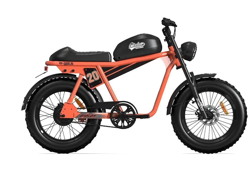 top 10 e bikes under 1 009 Tiger